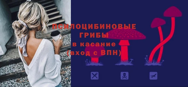 МДПВ Белокуриха