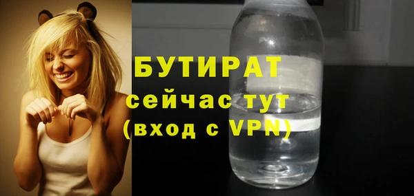 индика Осташков
