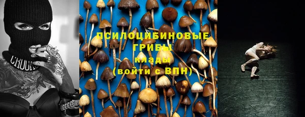 МДПВ Белокуриха