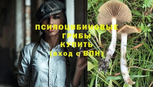 МДПВ Белокуриха